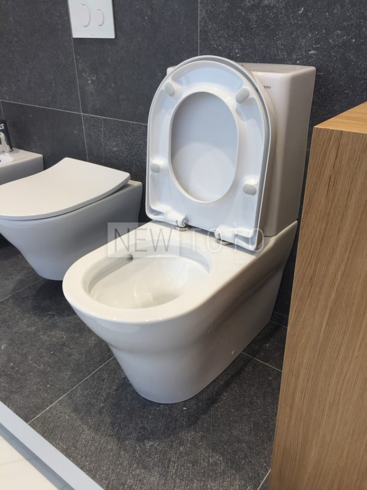 Крышка-биде TOTO Washlet S2 + унитаз MH с бачком фото №21