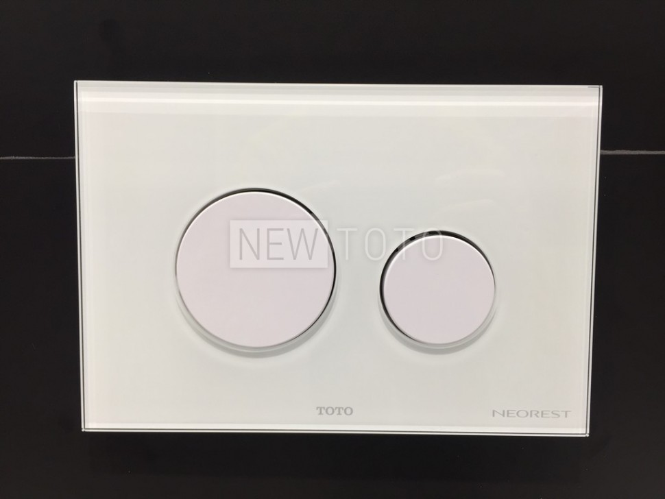 Клавиша смыва TOTO Neorest стекло фото №2
