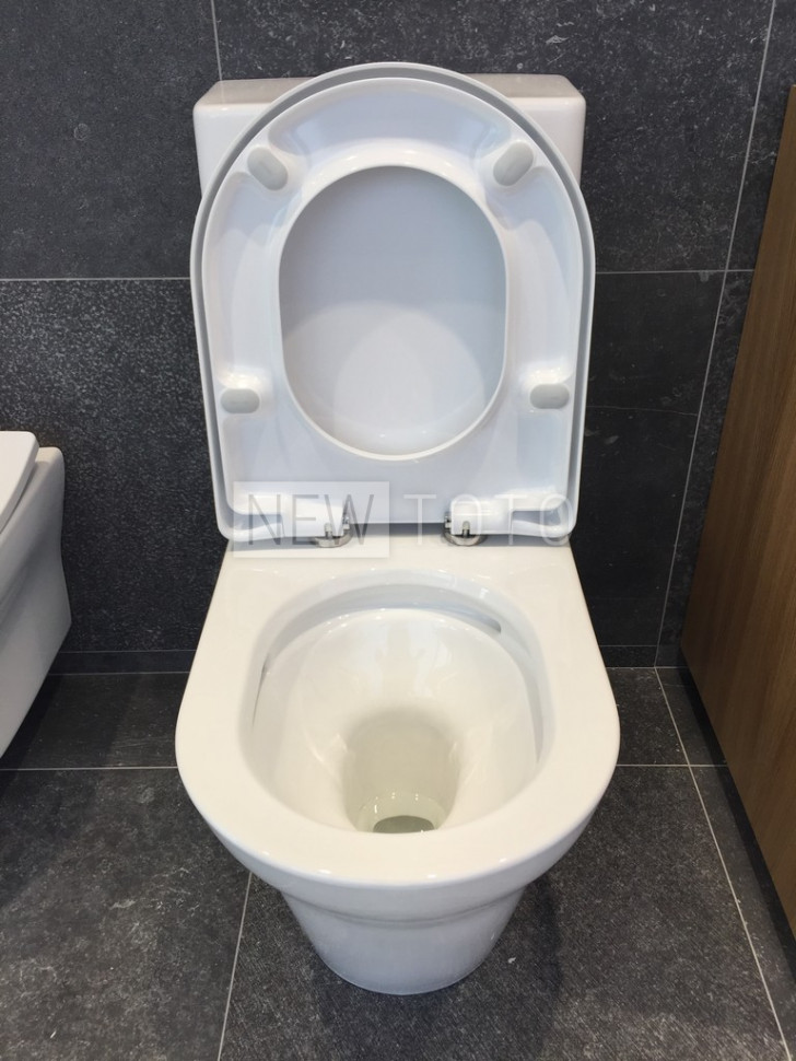 Крышка-биде TOTO Washlet S5 + унитаз MH с бачком фото №22