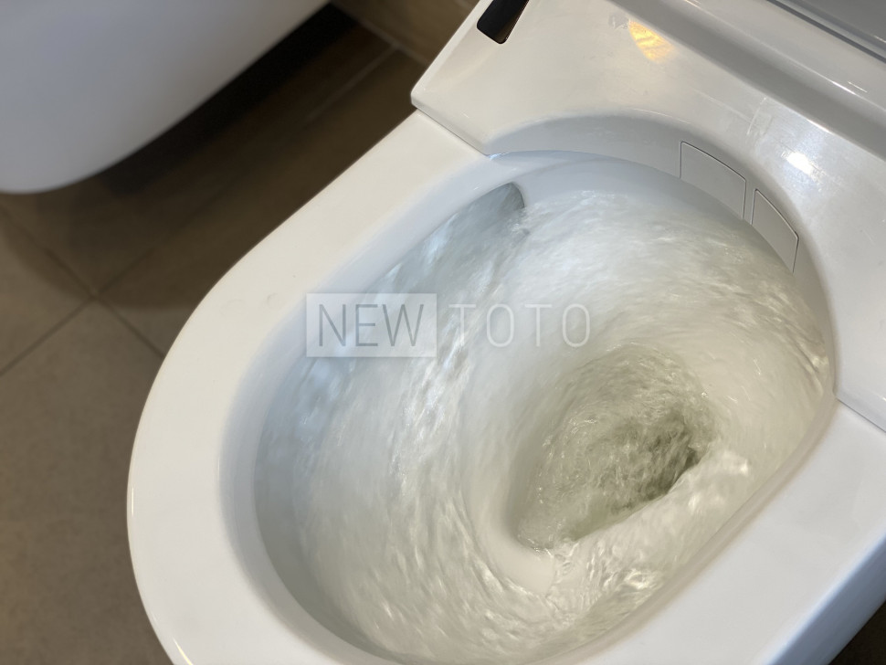 Крышка-биде TOTO Washlet RW белый + подвесной унитаз RP фото №10
