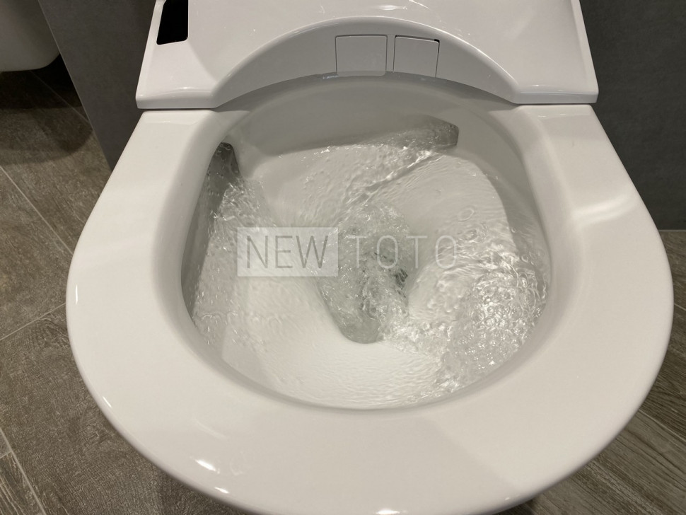 Крышка-биде TOTO Washlet RW белый + подвесной унитаз RP фото №22