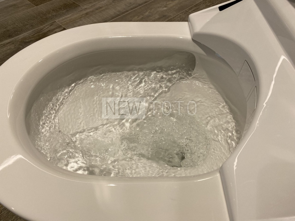 Крышка-биде TOTO Washlet RW белый + подвесной унитаз RP фото №20
