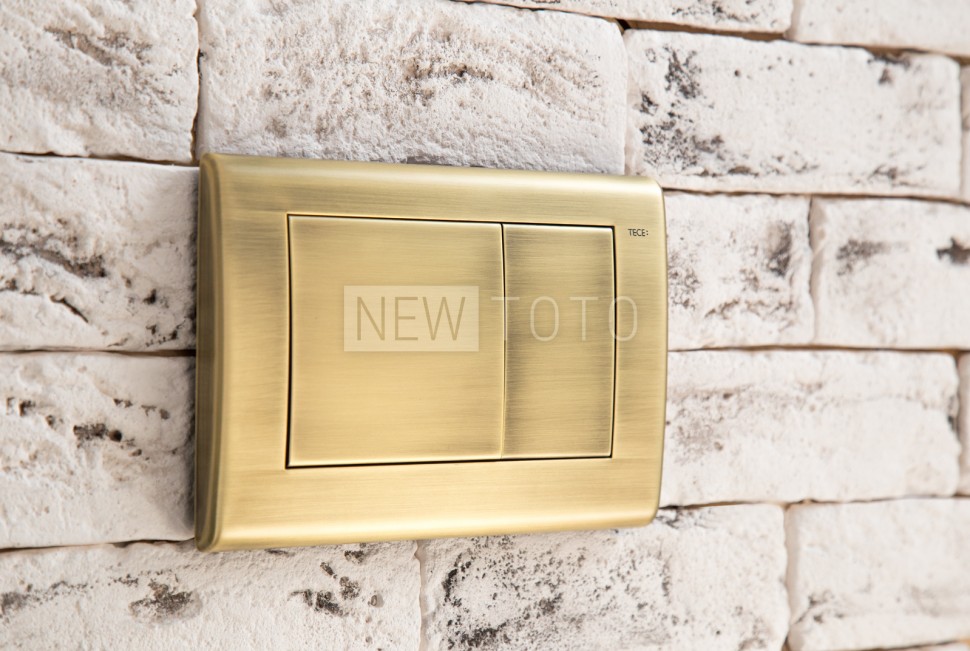 Клавиша смыва TECE Planus металл фото №2