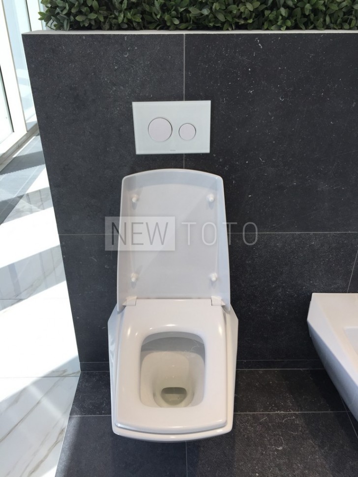 Напольный унитаз TOTO Jewelhex с бачком фото №6
