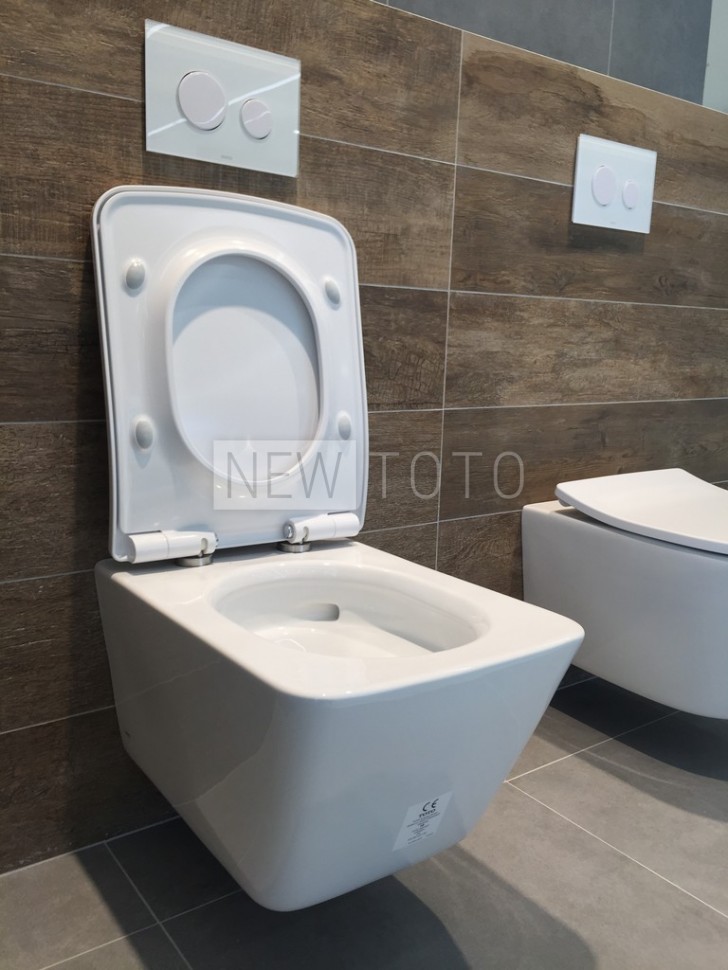 Подвесной унитаз TOTO SP фото №9