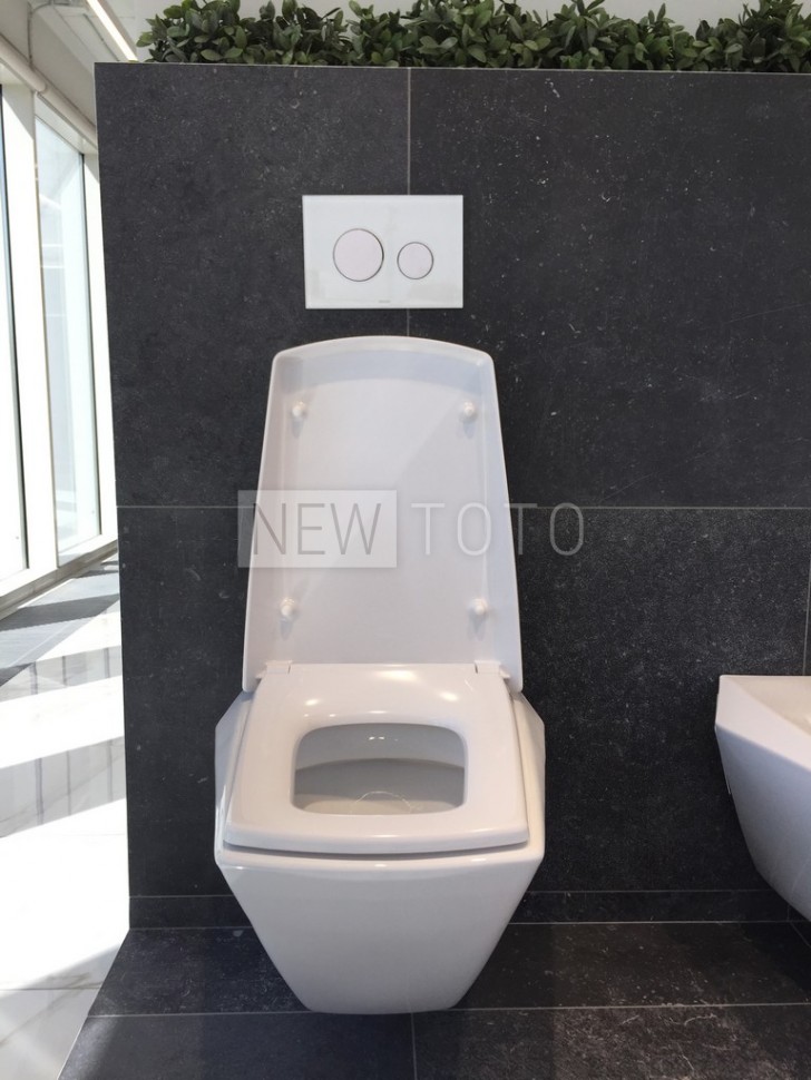 Подвесной унитаз TOTO Jewelhex фото №10