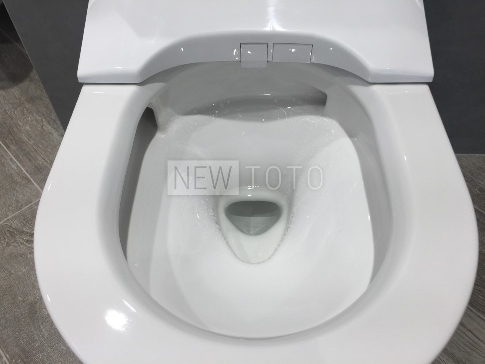 Крышка-биде TOTO Washlet RX eWater + подвесной унитаз RP фото №18