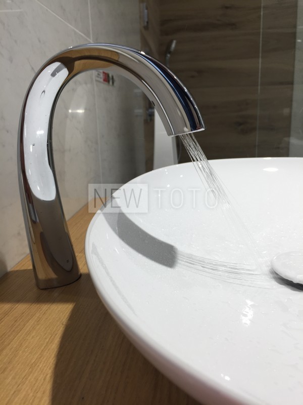 Раковина накладная TOTO Neorest 600мм фото №5