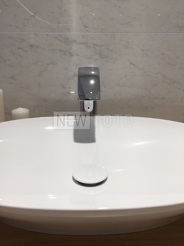 Раковина накладная TOTO Neorest 600мм фото №8